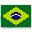 race_Brazilian .png