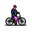 bicycle scout.png