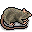 giant Rat 1.png